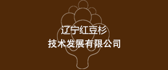 遼寧紅豆杉